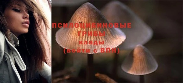 не бодяженный Гусев