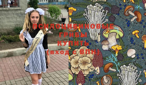 СК Горнозаводск