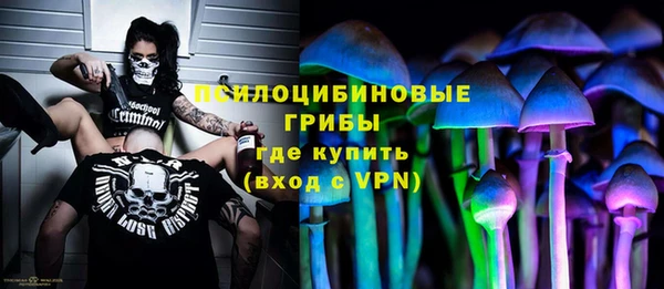 мяу мяу мука Гусиноозёрск